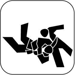 icon_jujutsu_schwarz_auf_weiss_250px